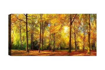 Canvastavla YTY Landscape & Nature Flerfärgad - 120x50 cm - Inredning - Tavlor & konst - Canvastavlor