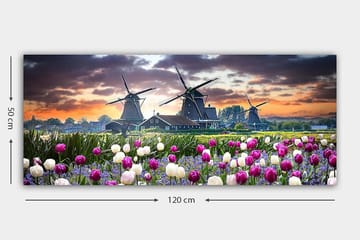 Canvastavla YTY Landscape & Nature Flerfärgad - 120x50 cm - Inredning - Tavlor & konst - Canvastavlor