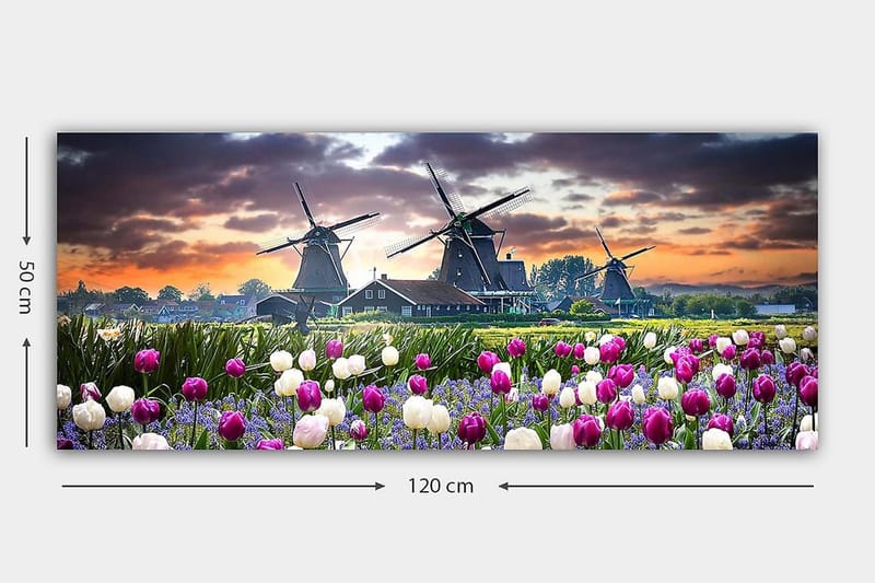 Canvastavla YTY Landscape & Nature Flerfärgad - 120x50 cm - Inredning - Tavlor & konst - Canvastavlor