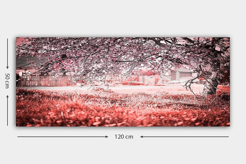 Canvastavla YTY Landscape & Nature Flerfärgad - 120x50 cm - Inredning - Tavlor & konst - Canvastavlor