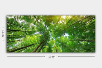 Canvastavla YTY Landscape & Nature Flerfärgad - 120x50 cm - Inredning - Tavlor & konst - Canvastavlor