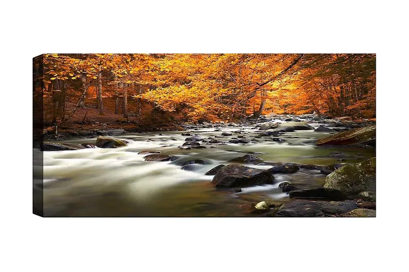 Canvastavla YTY Landscape & Nature Flerfärgad, 120x50 cm