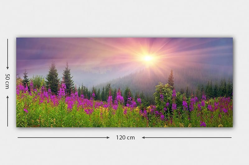 Canvastavla YTY Landscape & Nature Flerfärgad - 120x50 cm - Inredning - Tavlor & konst - Canvastavlor