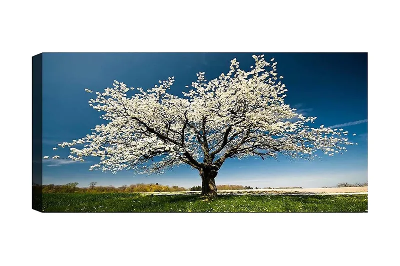 Canvastavla YTY Landscape & Nature Flerfärgad, 120x50 cm