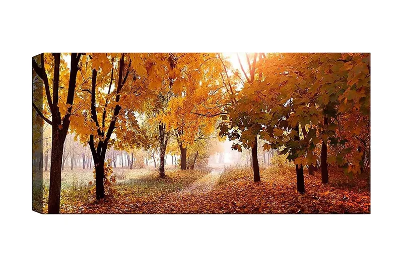 Canvastavla YTY Landscape & Nature Flerfärgad, 120x50 cm