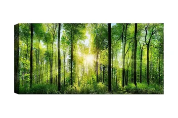 Canvastavla YTY Landscape & Nature Flerfärgad - 120x50 cm - Inredning - Tavlor & konst - Canvastavlor