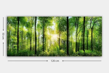 Canvastavla YTY Landscape & Nature Flerfärgad - 120x50 cm - Inredning - Tavlor & konst - Canvastavlor