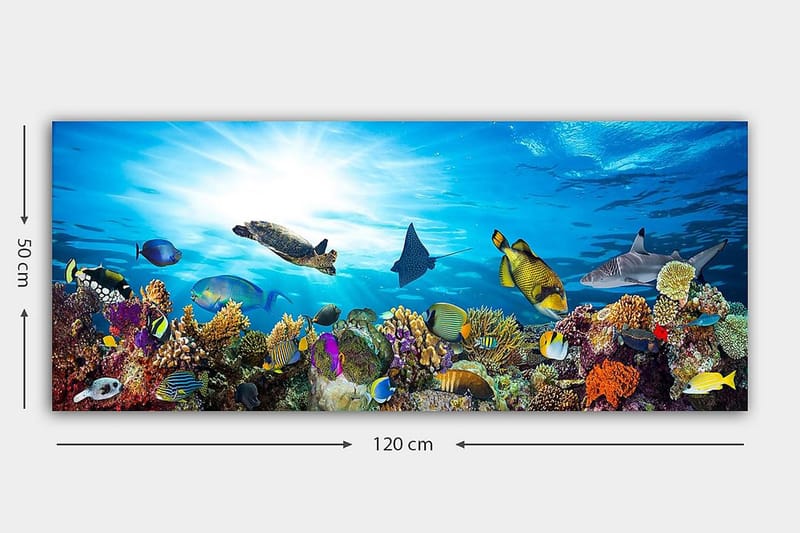 Canvastavla YTY Nautical & Beach Flerfärgad - 120x50 cm - Inredning - Tavlor & konst - Canvastavlor