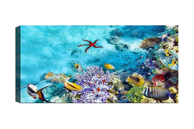 Canvastavla YTY Nautical & Beach Flerfärgad, 120x50 cm