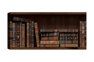 Canvastavla YTY Reading and Literature Flerfärgad - 120x50 cm - Inredning - Tavlor & konst - Canvastavlor