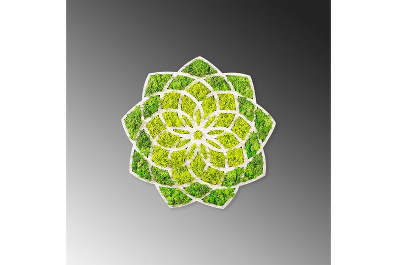 Daisy Canvastavla - 44x44 cm - Inredning - Tavlor & konst - Canvastavlor