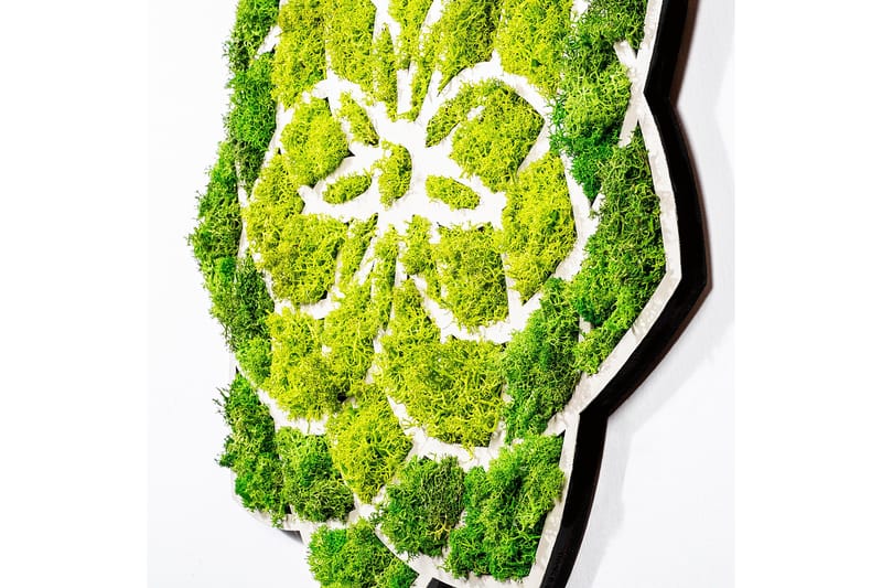 Daisy Canvastavla - 44x44 cm - Inredning - Tavlor & konst - Canvastavlor