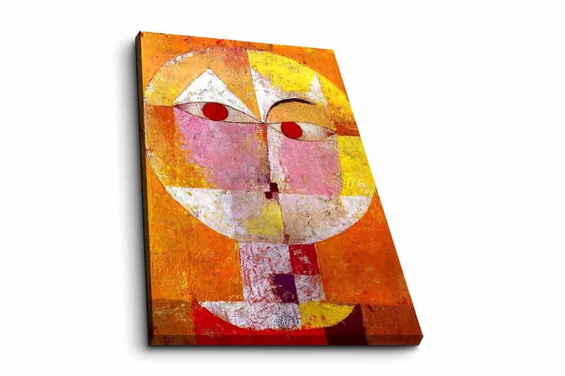 Decorative Canvas Painting 45x70, undefined