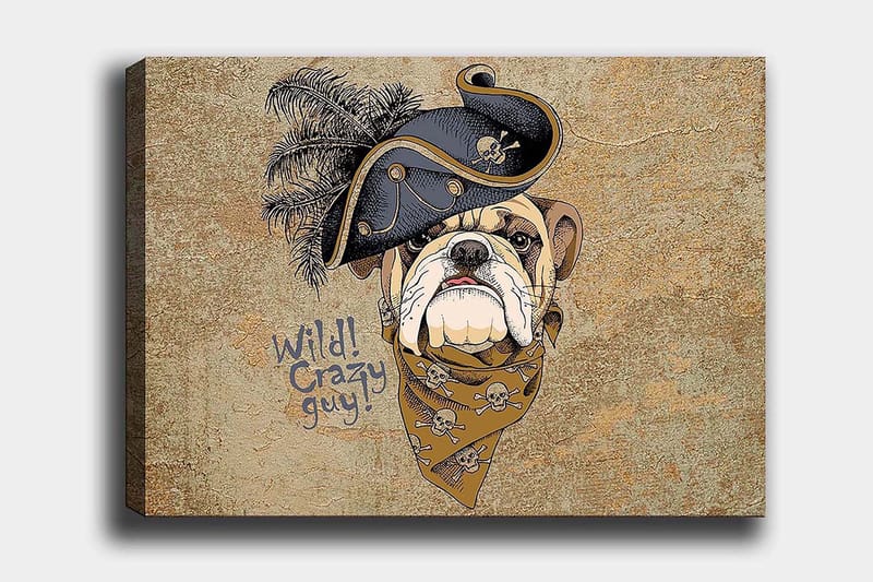 Decorative Canvas Painting 70x100, undefined