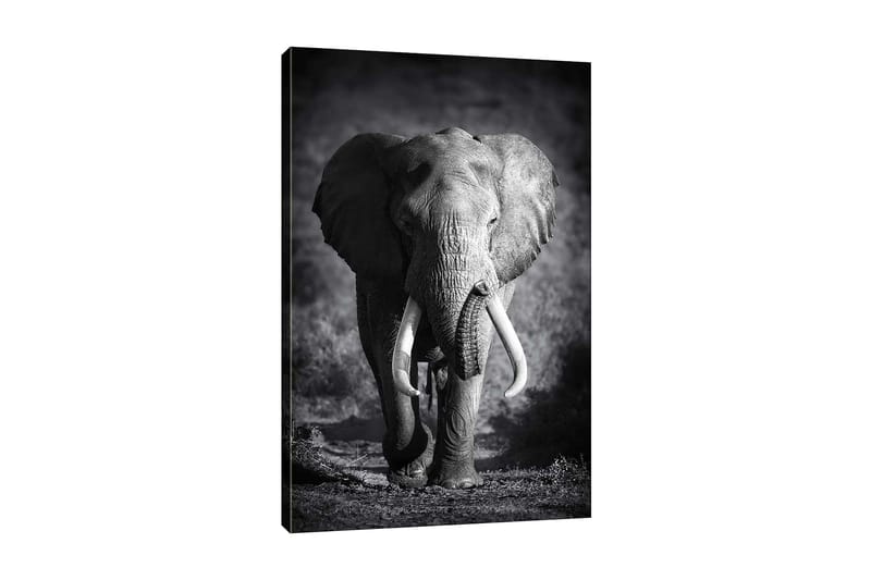 Decorative Canvas Painting 70x100 - Inredning - Tavlor & konst - Canvastavlor