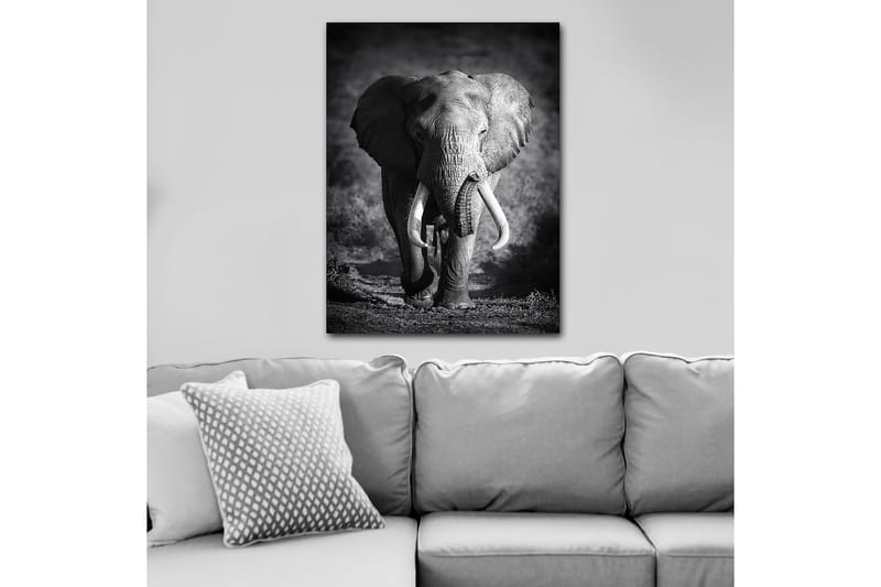 Decorative Canvas Painting 70x100 - Inredning - Tavlor & konst - Canvastavlor