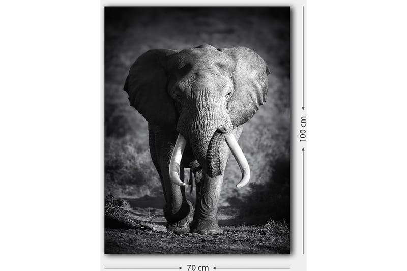 Decorative Canvas Painting 70x100 - Inredning - Tavlor & konst - Canvastavlor