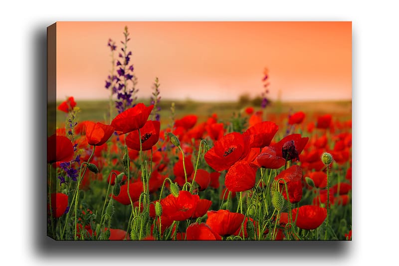 Decorative Canvas Painting 50x70 - Inredning - Tavlor & konst - Canvastavlor