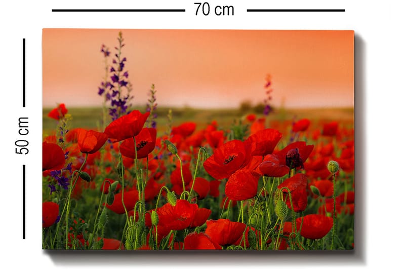 Decorative Canvas Painting 50x70 - Inredning - Tavlor & konst - Canvastavlor