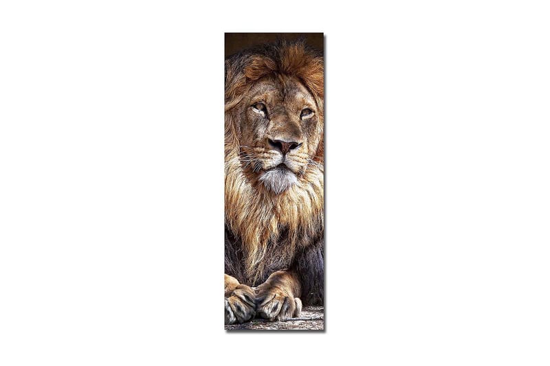Decorative Canvas Painting 30x90 - Inredning - Tavlor & konst - Canvastavlor