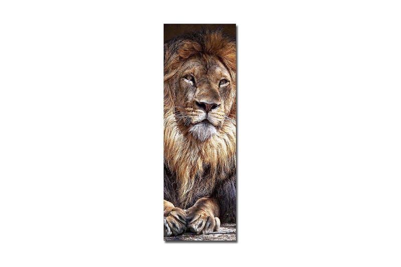 Decorative Canvas Painting 30x90 - Canvastavlor