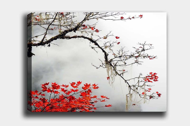 Decorative Canvas Painting 70x100 - Inredning - Tavlor & konst - Canvastavlor