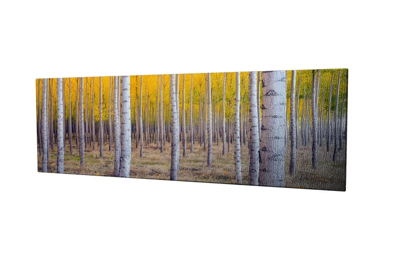 Decorative Canvas Painting 30x80 - Inredning - Tavlor & konst - Canvastavlor