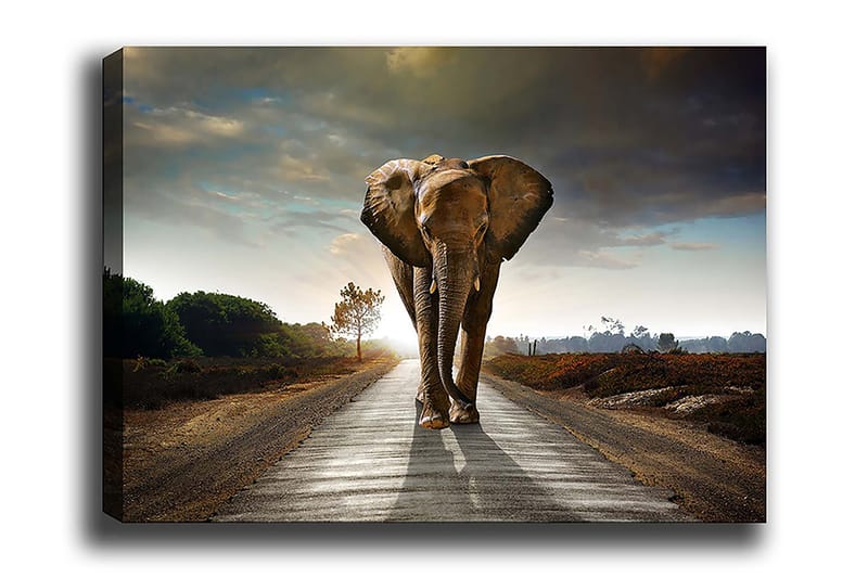 Decorative Canvas Painting 70x100 - Inredning - Tavlor & konst - Canvastavlor