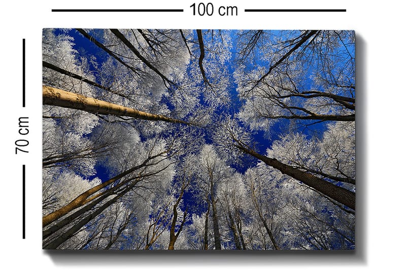 Decorative Canvas Painting 70x100 - Inredning - Tavlor & konst - Canvastavlor