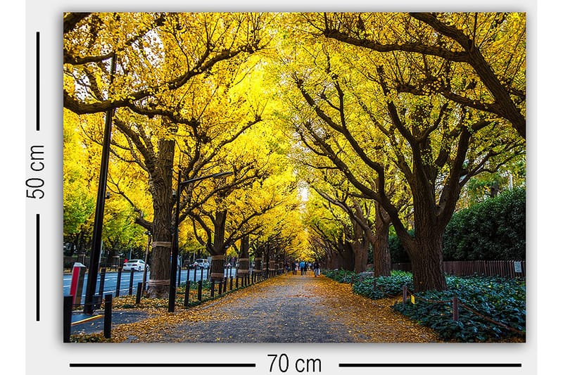 Decorative Canvas Painting 50x70 - Inredning - Tavlor & konst - Canvastavlor