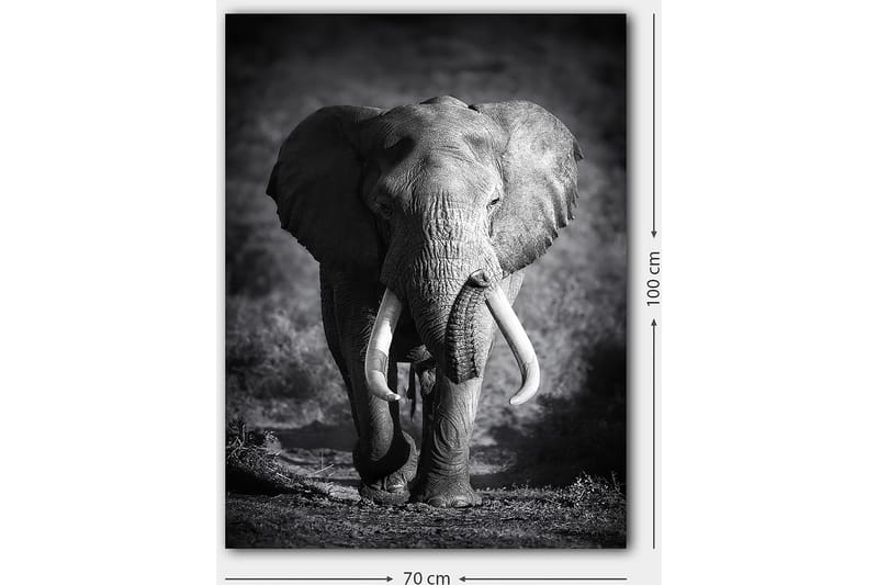 Decorative Canvas Painting 70x100 - Inredning - Tavlor & konst - Canvastavlor