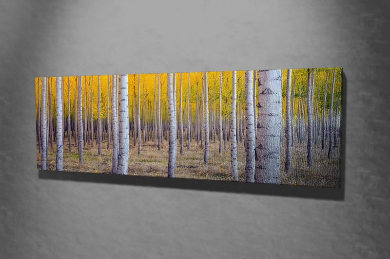 Decorative Canvas Painting 30x80 - Inredning - Tavlor & konst - Canvastavlor