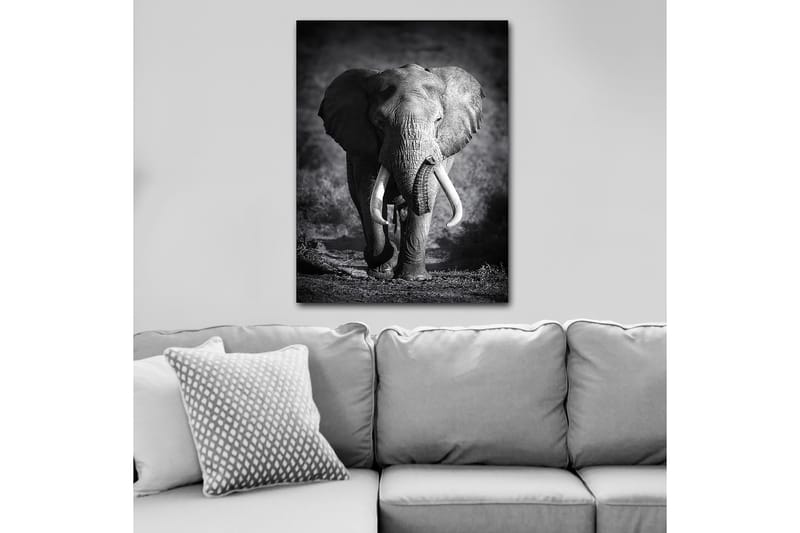 Decorative Canvas Painting 70x100 - Inredning - Tavlor & konst - Canvastavlor