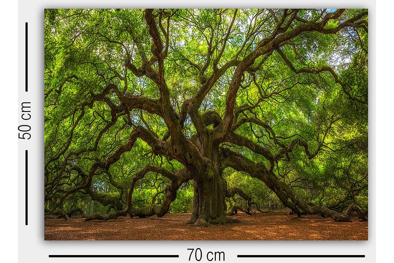 Decorative Canvas Painting 50x70 - Inredning - Tavlor & konst - Canvastavlor