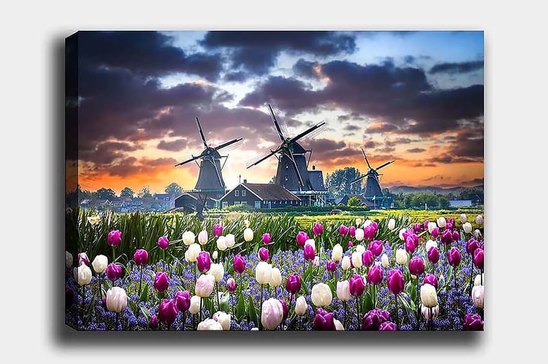 Decorative Canvas Painting 50x70, undefined