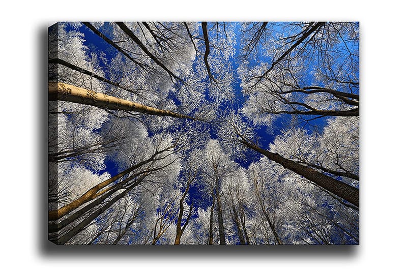 Decorative Canvas Painting 70x100, undefined