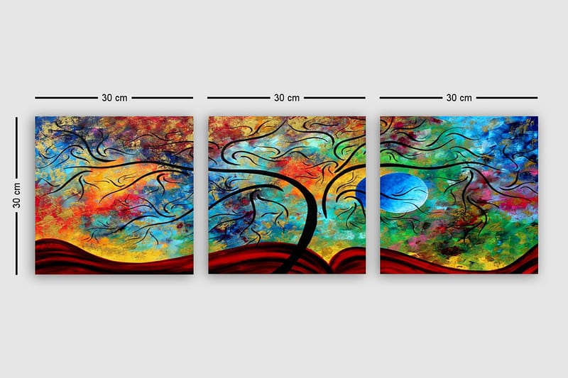 Decorative Canvas Painting (3 Pieces) 30x30 - Inredning - Tavlor & konst - Canvastavlor