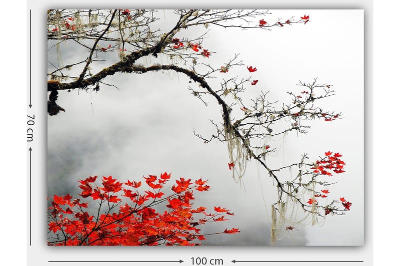 Decorative Canvas Painting 70x100 - Inredning - Tavlor & konst - Canvastavlor