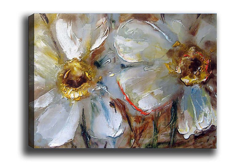 Decorative Canvas Painting 50x70, undefined