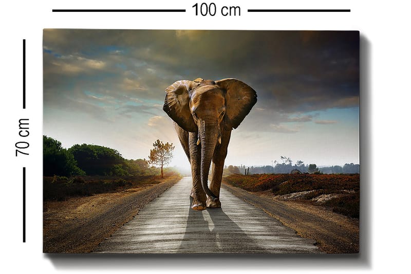 Decorative Canvas Painting 70x100 - Inredning - Tavlor & konst - Canvastavlor