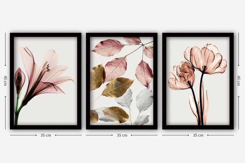 Decorative Framed Painting (3 Pieces) 35x45 - Inredning - Tavlor & konst - Canvastavlor