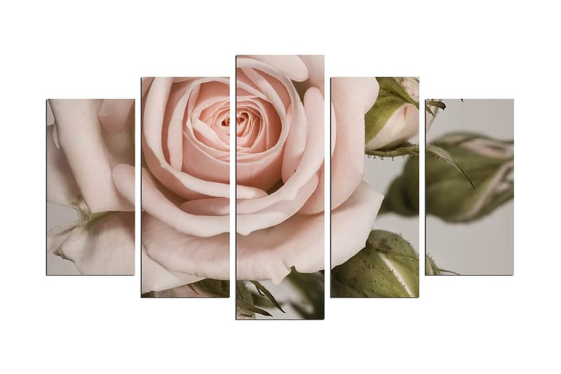 Decorative MDF Painting (5 Pieces) 20x60, undefined