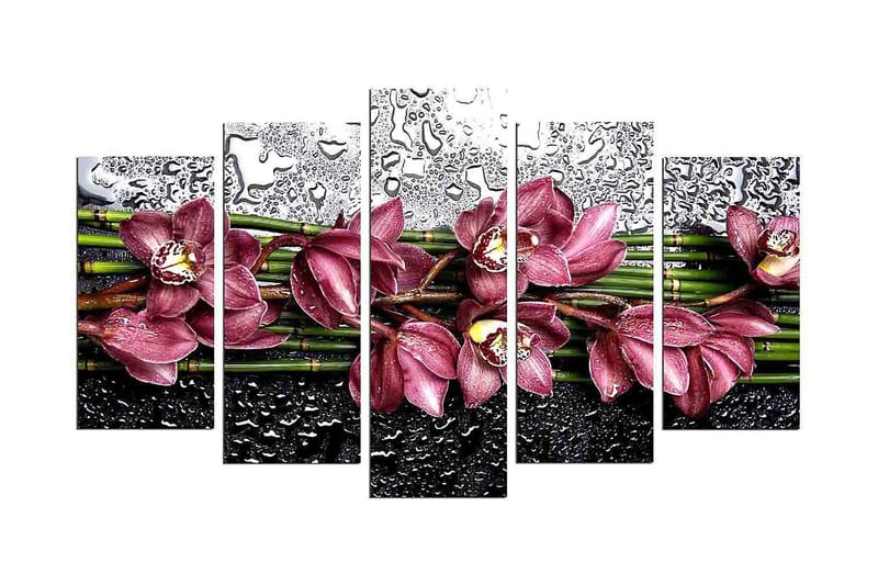 Decorative MDF Painting (5 Pieces) 20x60, undefined