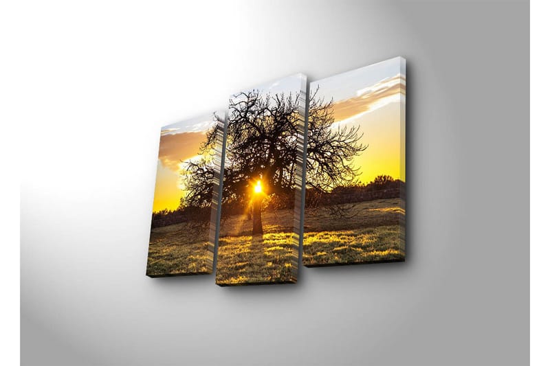 Dekorativ Canvasmålning 3 Delar - Flerfärgad - Inredning - Tavlor & konst - Canvastavlor