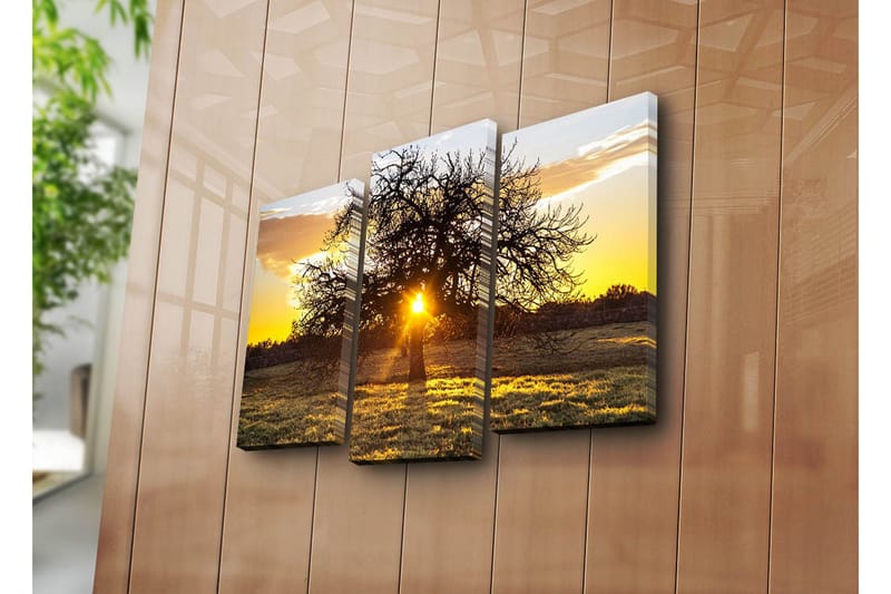 Dekorativ Canvasmålning 3 Delar - Flerfärgad - Inredning - Tavlor & konst - Canvastavlor