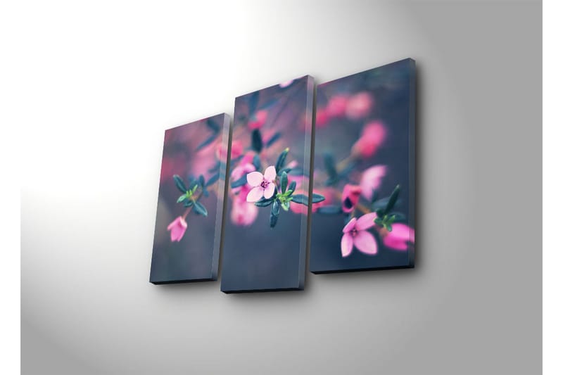 Dekorativ Canvasmålning 3 Delar - Flerfärgad - Inredning - Tavlor & konst - Canvastavlor