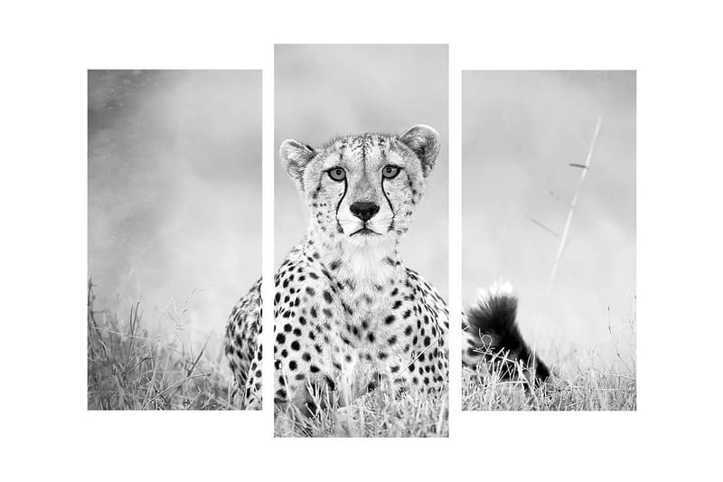 Dekorativ Canvasmålning 3 Delar - Flerfärgad - Inredning - Tavlor & konst - Canvastavlor