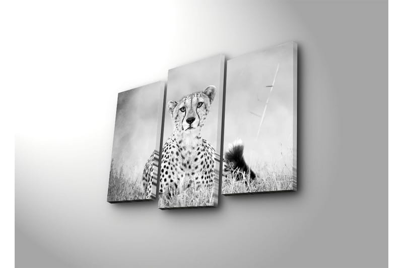 Dekorativ Canvasmålning 3 Delar - Flerfärgad - Inredning - Tavlor & konst - Canvastavlor