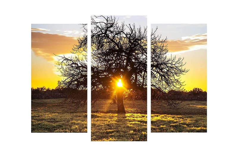 Dekorativ Canvasmålning 3 Delar - Flerfärgad - Inredning - Tavlor & konst - Canvastavlor