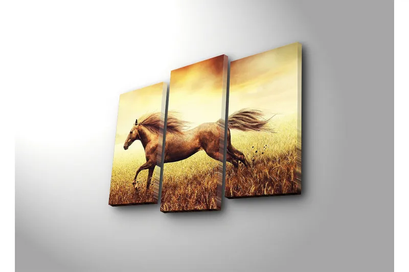 Dekorativ Canvasmålning 3 Delar - Flerfärgad - Inredning - Tavlor & konst - Canvastavlor